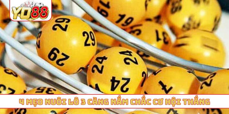 4 mẹo nuôi lô 3 càng nắm chắc cơ hội thắng