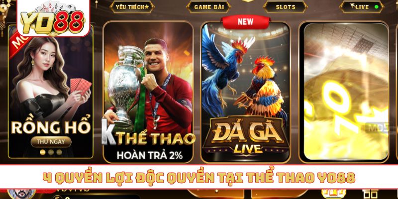 4 quyền lợi độc quyền tại thể thao YO88