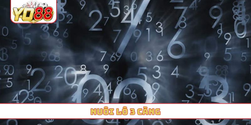 nuôi lô 3 càng